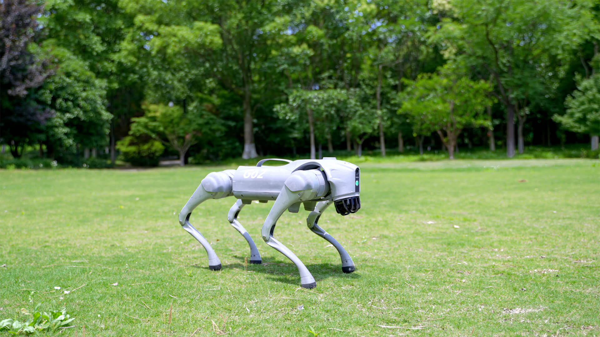 Robot Dog Go2_Quadruped_Robot Dog Company | Unitree Robotics